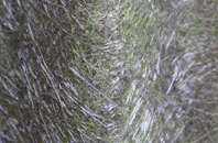 Markfield fibreglass roof work